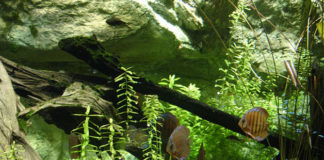 L’assemblaggio delle lastre 1457 0 L assemblaggio delle lastre